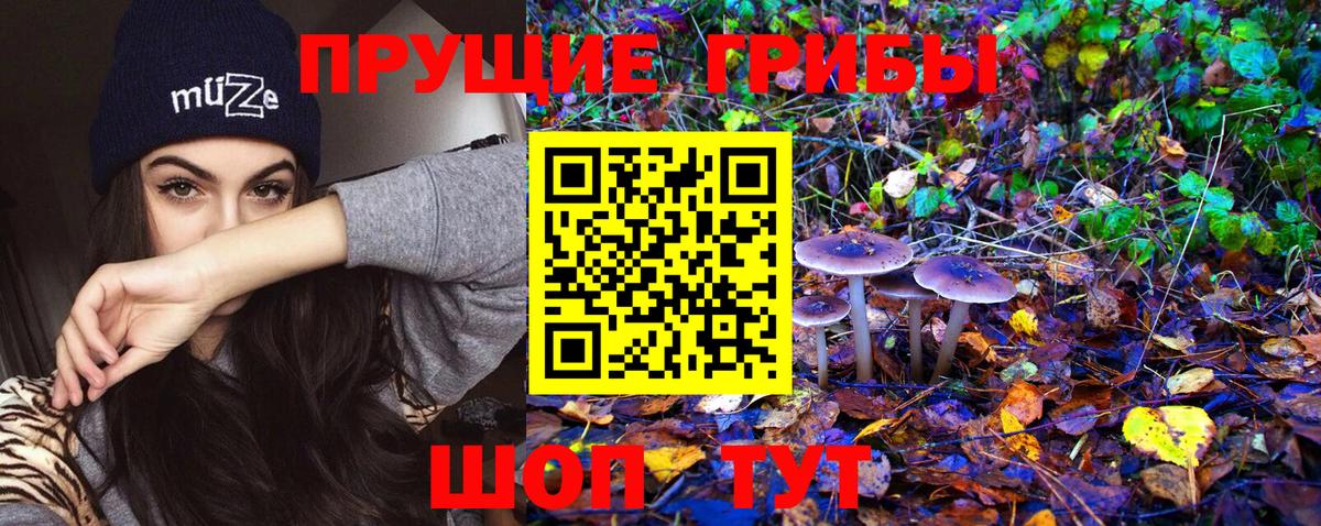 Галлюциногенные грибы Psilocybe  даркнет сайт  Нерюнгри  Вход с VPN 